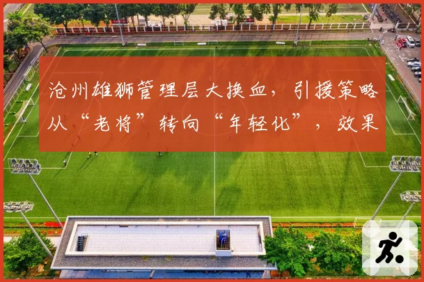 沧州雄狮管理层大换血，引援策略从“老将”转向“年轻化”，效果待观察