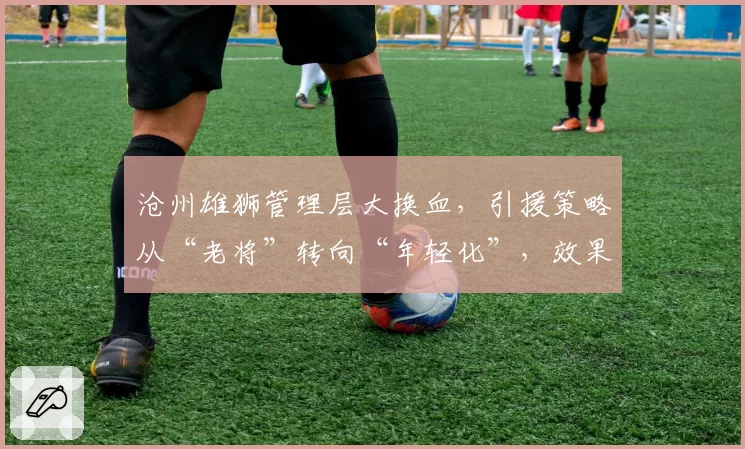 沧州雄狮管理层大换血，引援策略从“老将”转向“年轻化”，效果待观察