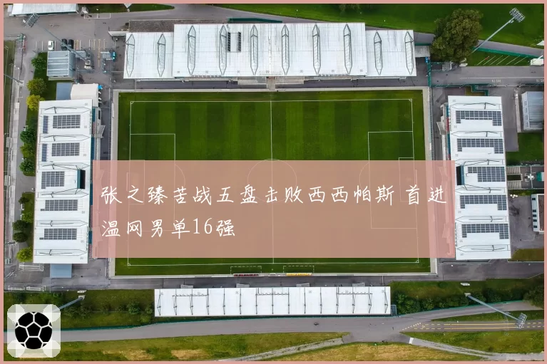 张之臻苦战五盘击败西西帕斯 首进温网男单16强