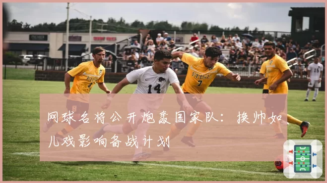 网球名将公开炮轰国家队:换帅如儿戏影响备战计划