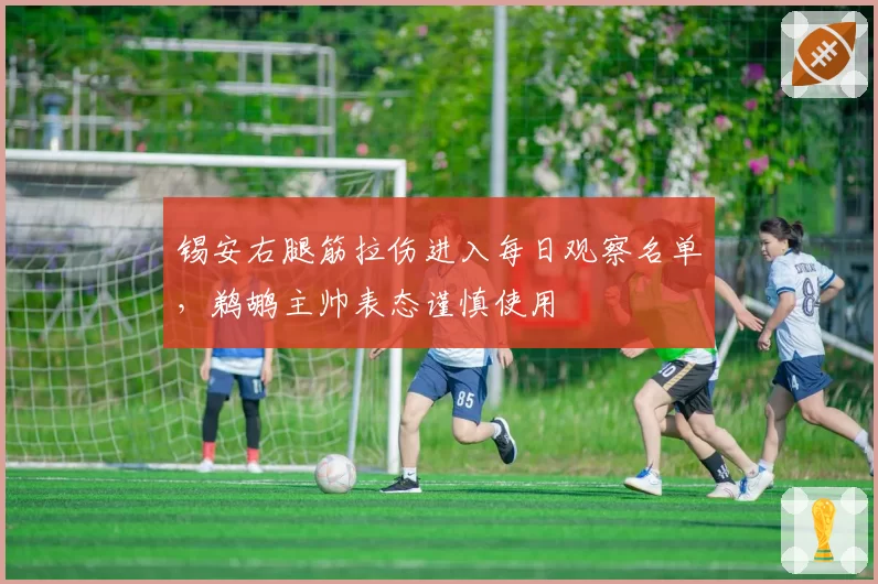 锡安右腿筋拉伤进入每日观察名单,鹈鹕主帅表态谨慎使用
